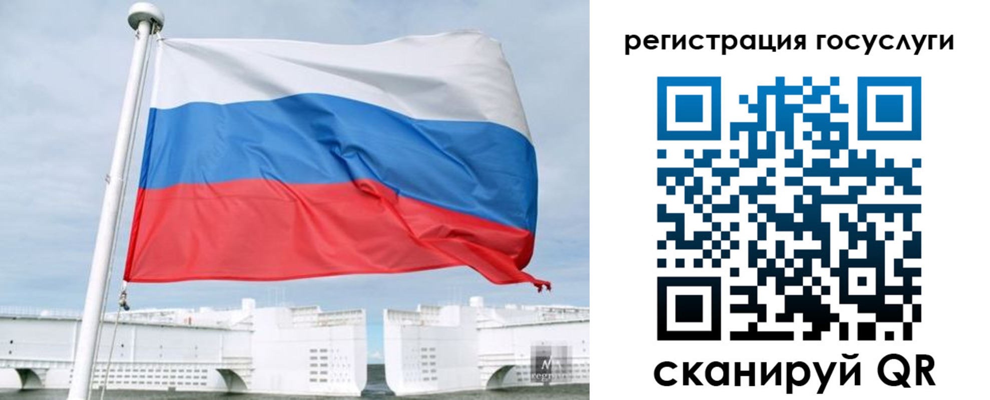 временная регистрация поиск в Красном Куте